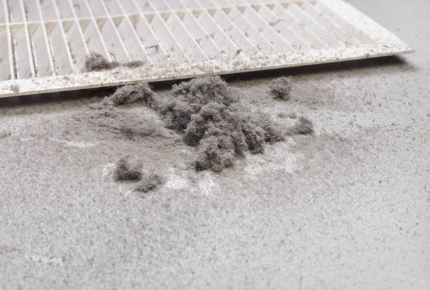 Best General Air Duct Cleaning  in Fayette, AL