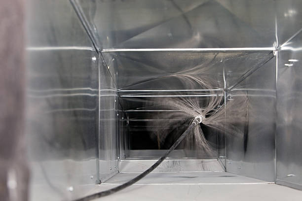 Best Affordable Duct Cleaning Services  in Fayette, AL