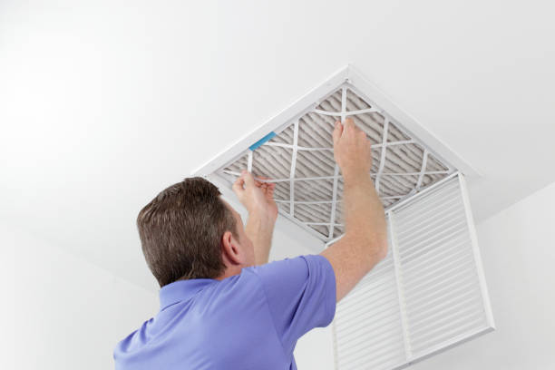 Best HVAC Air Duct Cleaning  in Fayette, AL